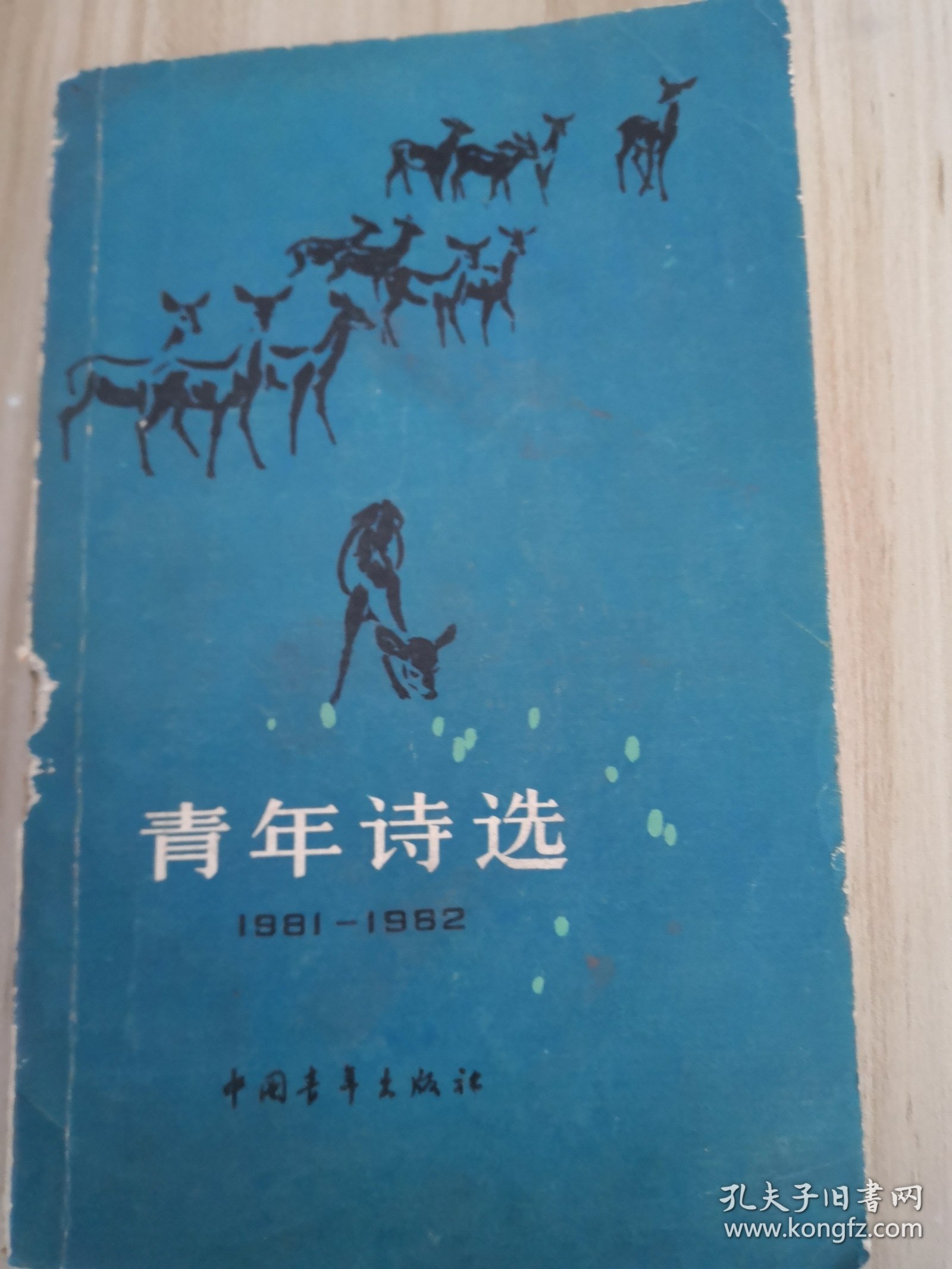 青年诗选1981~1982