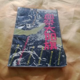 血祭太阳旗