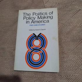 the politics of policy making in America