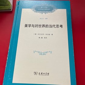 美学与对世界的当代思考/复旦中文系文艺学前沿课堂系列