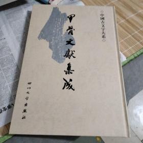 中国古文字大系甲骨文献集成第29册（带函盒）