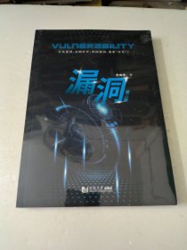 漏洞（第二版）