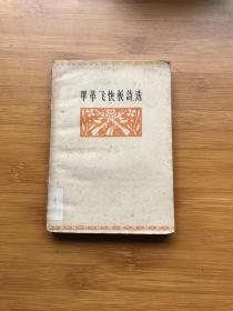 毕革飞快板诗选