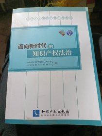 面向新时代的知识产权法治