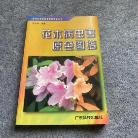 园林作物病虫害原色图谱丛书-花木病虫害原色图谱、