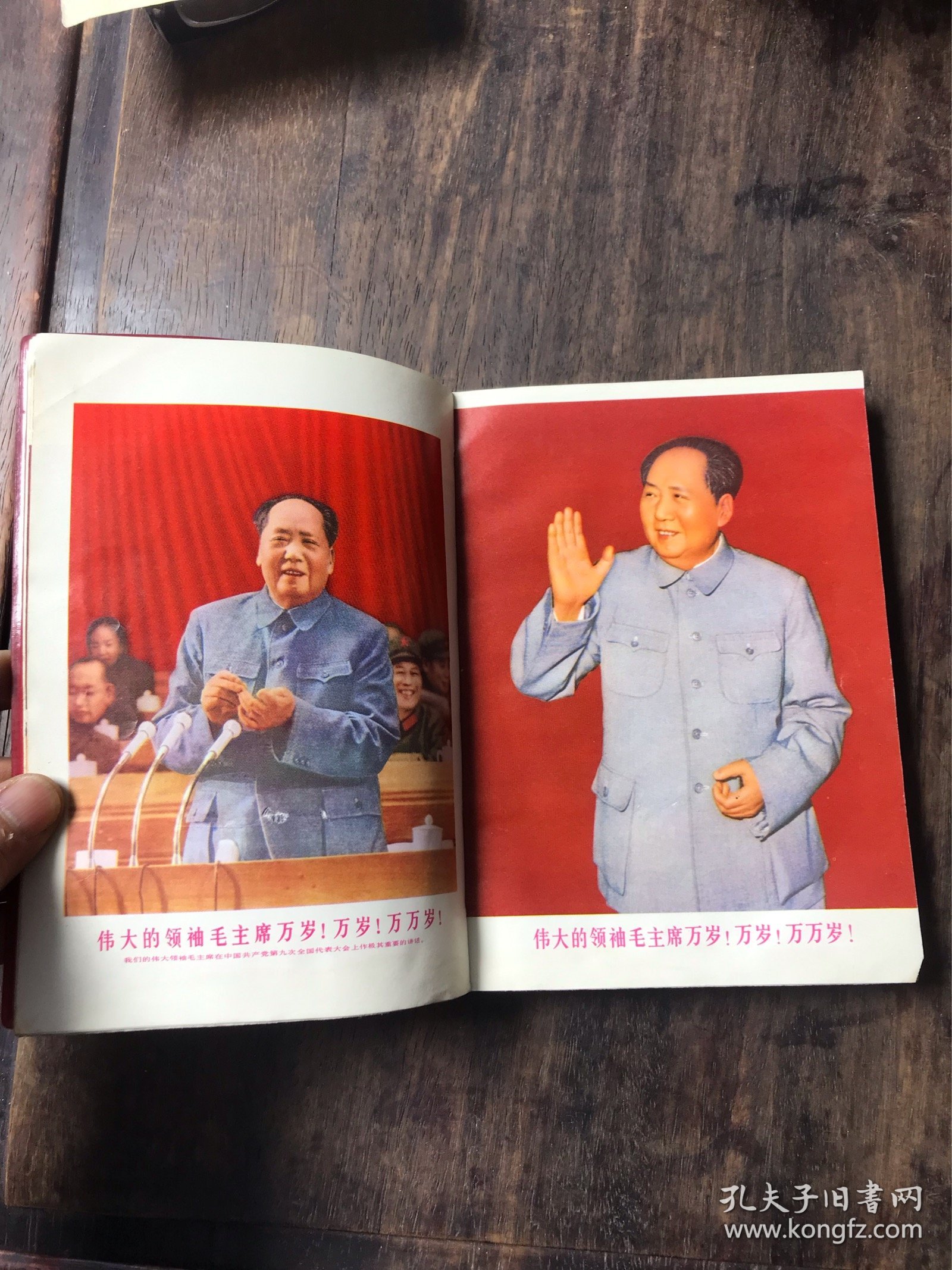 《无产阶级*****胜利万岁》等“**”书刊