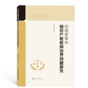 市场竞争中知识产权权利边界问题研究