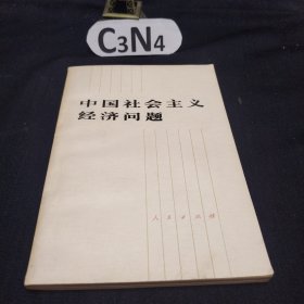 中国社会主义经济问题
