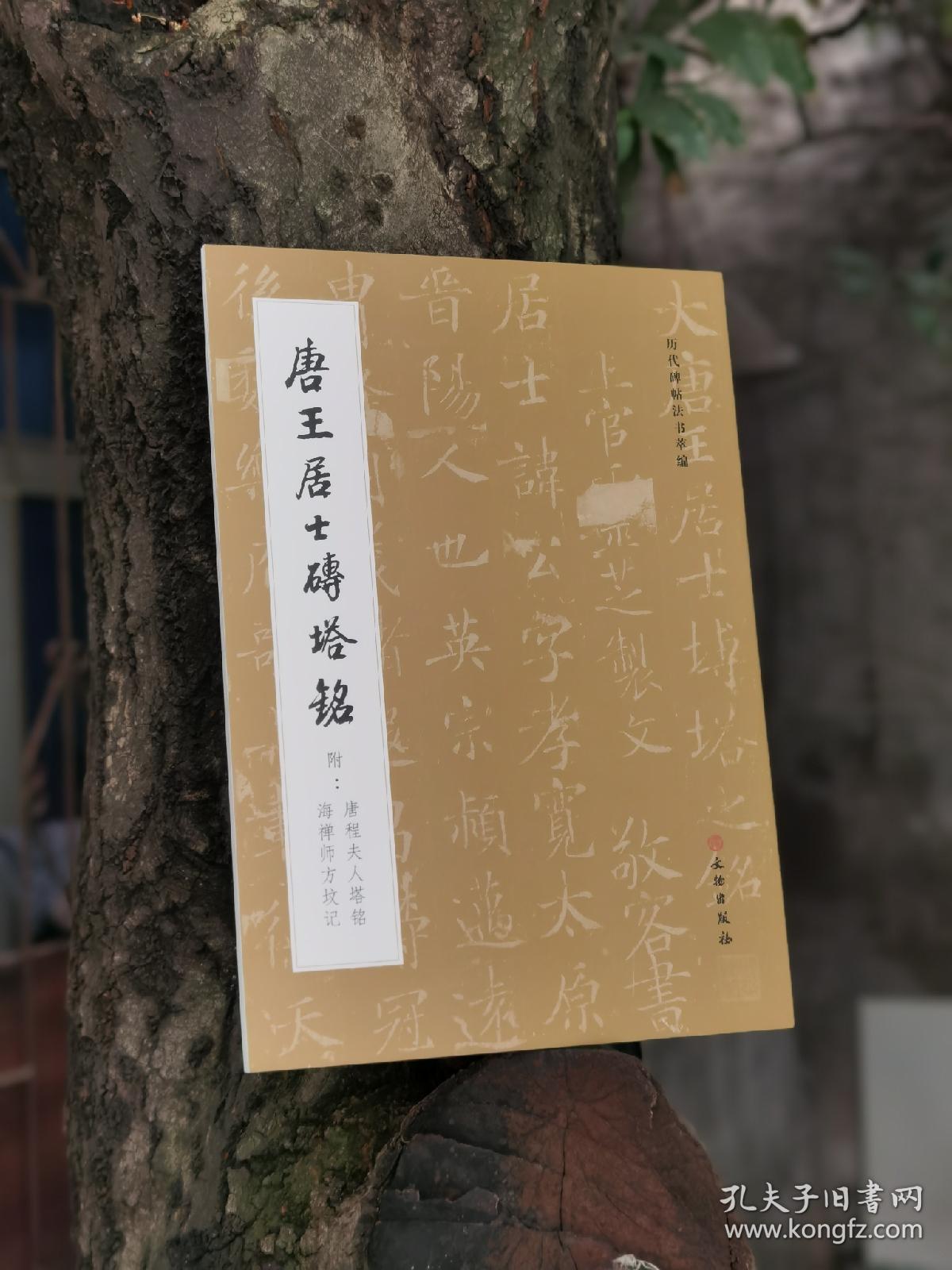 唐王居士砖塔铭（附唐程夫人塔铭海禅师方坟记）/历代碑帖法书萃编