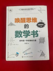 唤醒思维的数学书【16开精装本见图】H12