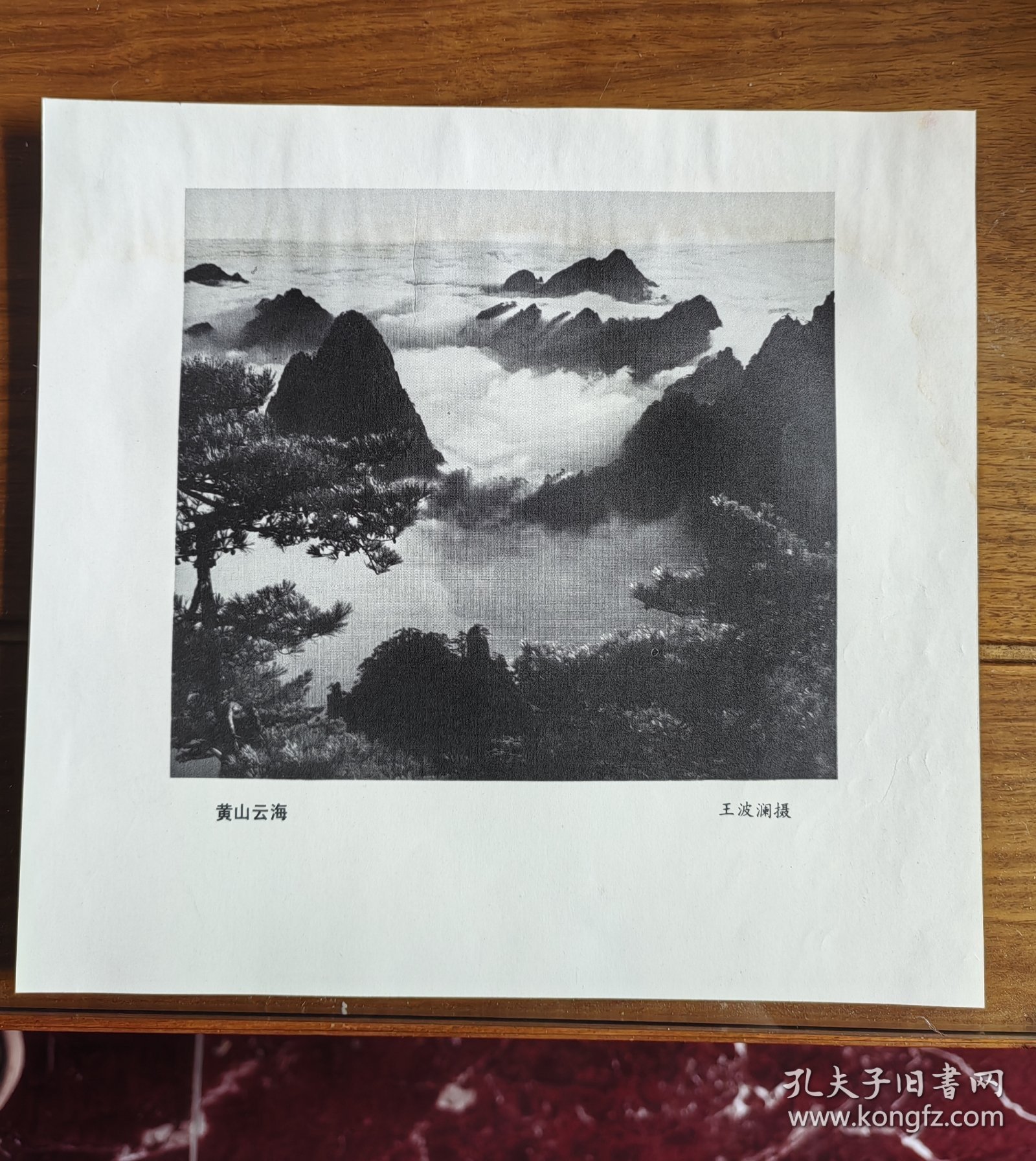 七十年代出版印刷《黄山云海》画页 王波澜摄