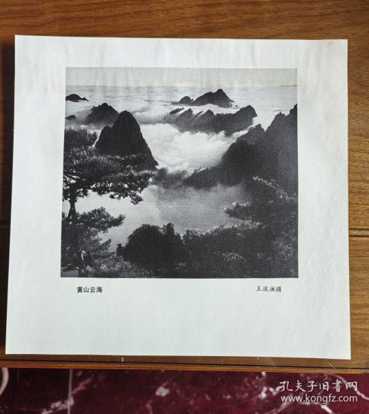 七十年代出版印刷《黄山云海》画页 王波澜摄