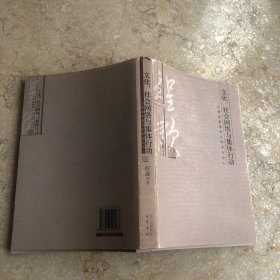 文化、社会网络与集体行动：以晚清教案和义和团为中心