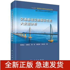 交通基礎(chǔ)設(shè)施服役性能大數(shù)據(jù)分析