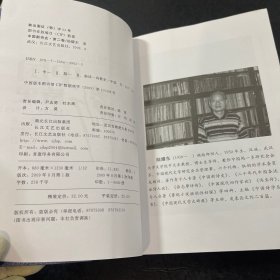 中国新诗史（第二卷）