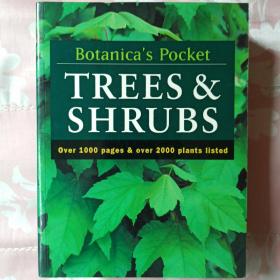 Trees  & Shrubs