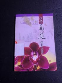 熱帶蘭花種養(yǎng)與鑒賞