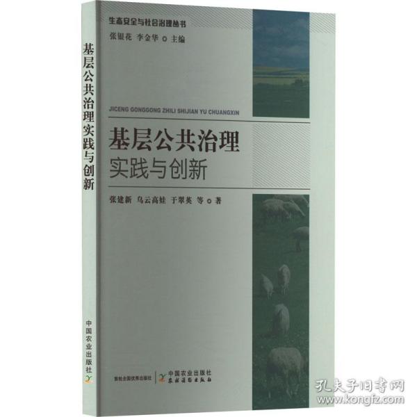 基层公共治理实践与创新 政治理论 张建新 等