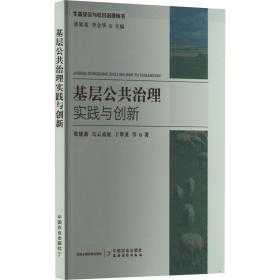 基层公共治理实践与创新 政治理论 张建新 等