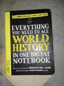 Everything You Need To Ace Math In One Big Fat Notebook-在一个大笔记本里，你需要的所有东西都能在数学上名列前茅