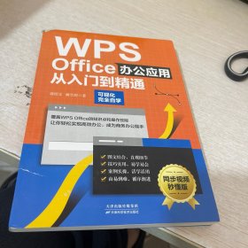 WPS Office办公应用从入门到精通（可视化完全自学，零基础快速入门，同步视频秒懂版）