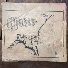 线装石印画册《梅谱》一册（从1到58计29个筒子页，线已掉）