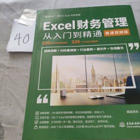 Excel财务管理从入门到精通（微课视频版）