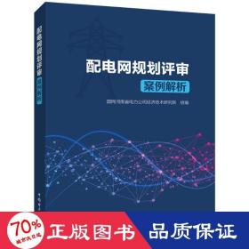 配电网规划评审案例解析 水利电力 作者