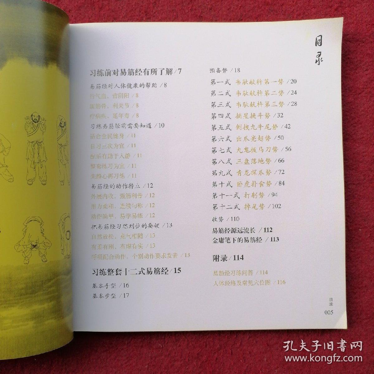 健身国术：易筋经（时尚健身版）