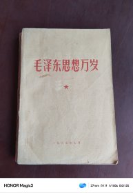 毛泽东思想胜利万岁（1967年）