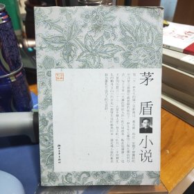 经典文存：茅盾小说