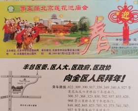 2005年第五届北京莲花池庙会，莲花，荷花，中国结，春，儿童过年