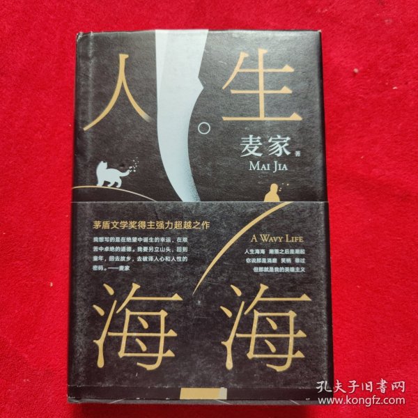 麦家：人生海海（茅盾文学奖得主麦家2019年强力之作）