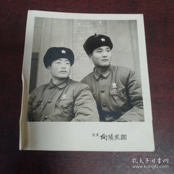 合影照