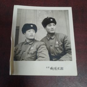 合影照
