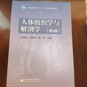 人体组织学与解剖学