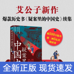 疑案里的中国史 2