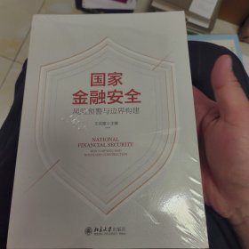 国家金融安全：风险预警与边界构建