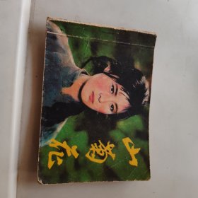 电影连环画册,山菊花