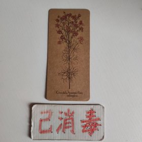 书签 重瓣红花的阿鲁飞燕草