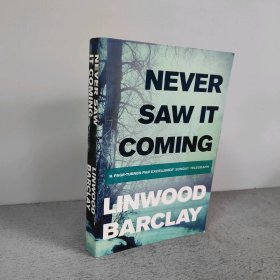 【英文原版】Never Saw it Coming