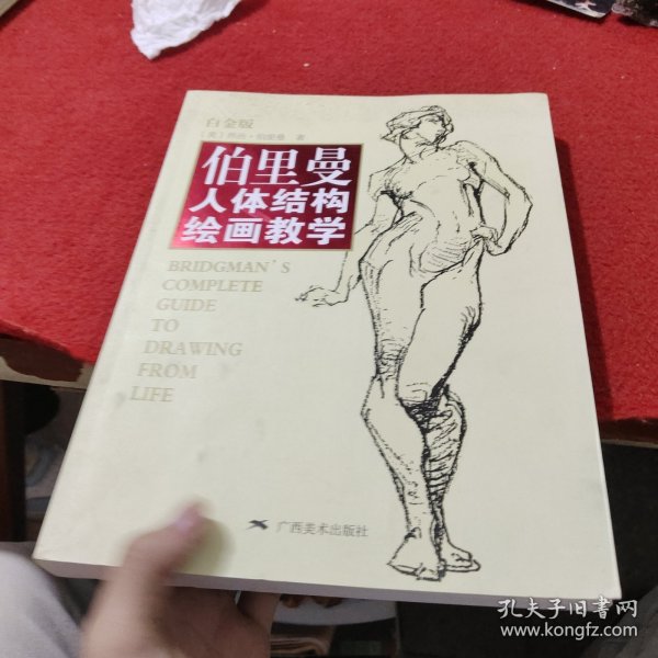 伯里曼人体结构绘画教学（白金版）