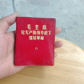 毛主席论无产阶级专政下继续革命（没有毛主席图片）