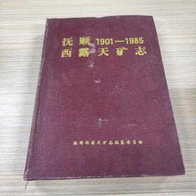 抚顺西露天矿志1901-1985【精装】