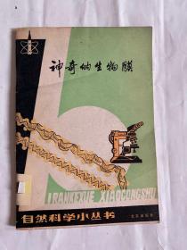 神奇的生物膜