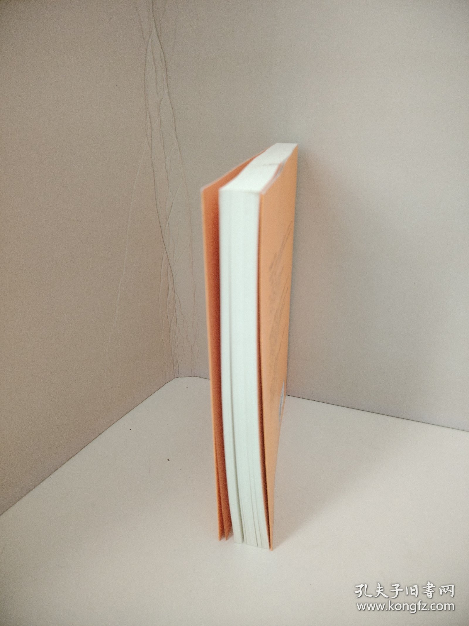 参与感：小米口碑营销内部手册