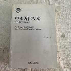 中国著作权法：判例综述与规范解释