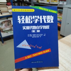 轻松学代数：实用代数自学教程（第二版） （美）彼得H塞尔比 重庆出版社