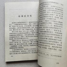 我的情人 ，我的宝贝