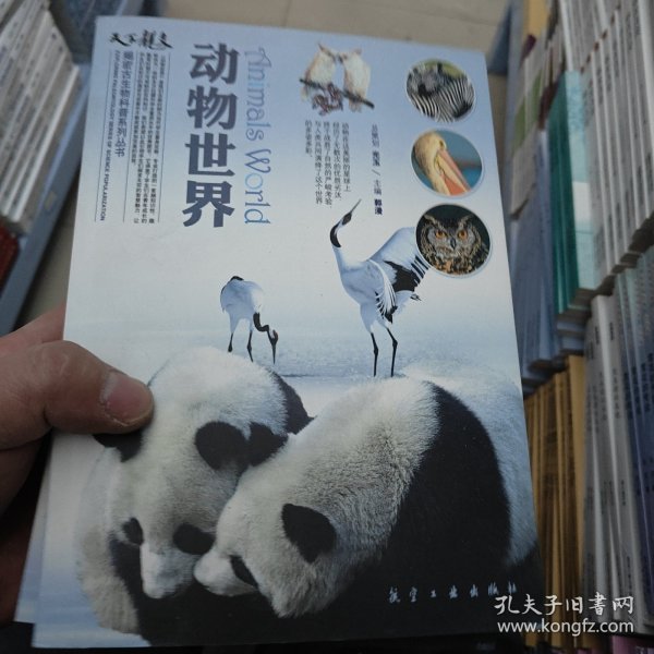 动物世界